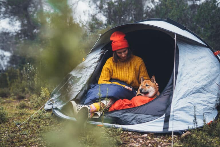 pet friendly